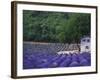 Fields of Lavender by Rustic Farmhouse-Owen Franken-Framed Photographic Print