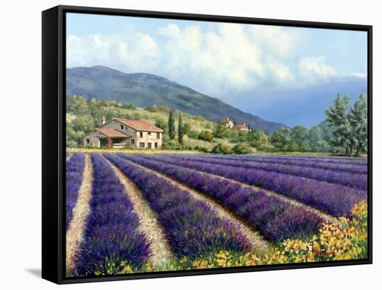 Fields of Lavender-Michael Swanson-Framed Stretched Canvas