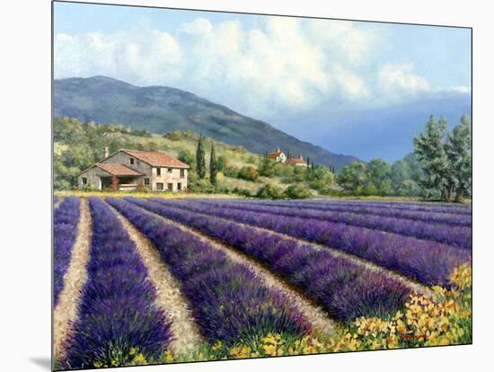 Fields of Lavender-Michael Swanson-Mounted Art Print