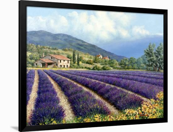 Fields of Lavender-Michael Swanson-Framed Art Print