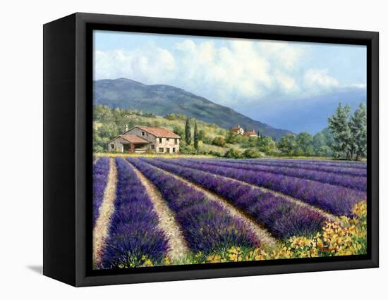 Fields of Lavender-Michael Swanson-Framed Stretched Canvas