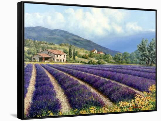Fields of Lavender-Michael Swanson-Framed Stretched Canvas