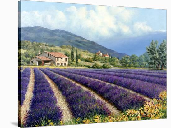 Fields of Lavender-Michael Swanson-Stretched Canvas