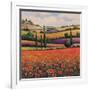 Fields of Poppies I-TC Chiu-Framed Art Print