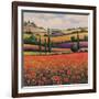 Fields of Poppies I-TC Chiu-Framed Art Print