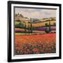Fields of Poppies I-TC Chiu-Framed Art Print