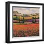 Fields of Poppies I-TC Chiu-Framed Art Print