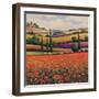 Fields of Poppies I-TC Chiu-Framed Art Print