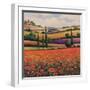 Fields of Poppies I-TC Chiu-Framed Art Print