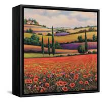Fields of Poppies I-TC Chiu-Framed Stretched Canvas