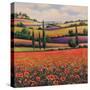 Fields of Poppies I-TC Chiu-Stretched Canvas