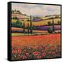 Fields of Poppies I-TC Chiu-Framed Stretched Canvas