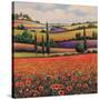 Fields of Poppies I-TC Chiu-Stretched Canvas
