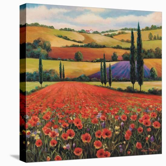 Fields of Poppies II-TC Chiu-Stretched Canvas