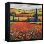 Fields of Poppies II-TC Chiu-Framed Stretched Canvas