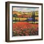 Fields of Poppies II-TC Chiu-Framed Art Print