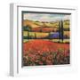 Fields of Poppies II-TC Chiu-Framed Art Print