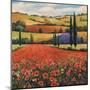 Fields of Poppies II-TC Chiu-Mounted Art Print