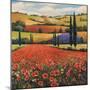 Fields of Poppies II-TC Chiu-Mounted Art Print