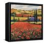 Fields of Poppies II-TC Chiu-Framed Stretched Canvas