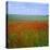 Fields of Poppies, Valley of the Somme, Nord-Picardy (Somme), France-David Hughes-Stretched Canvas