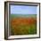 Fields of Poppies, Valley of the Somme, Nord-Picardy (Somme), France-David Hughes-Framed Photographic Print