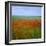 Fields of Poppies, Valley of the Somme, Nord-Picardy (Somme), France-David Hughes-Framed Photographic Print