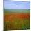 Fields of Poppies, Valley of the Somme, Nord-Picardy (Somme), France-David Hughes-Mounted Photographic Print