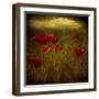 Fields of Red I-Barbara Simmons-Framed Giclee Print