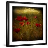 Fields of Red I-Barbara Simmons-Framed Giclee Print