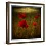 Fields of Red II-Barbara Simmons-Framed Giclee Print