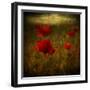 Fields of Red II-Barbara Simmons-Framed Giclee Print