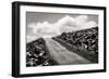 Fields of Sorrow II-Alan Hausenflock-Framed Photographic Print