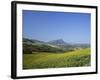 Fields of Sunflowers, Near Ronda, Andalucia (Andalusia), Spain, Europe-Ruth Tomlinson-Framed Photographic Print