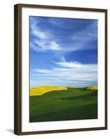 Fields of Wheat and Canola, Palouse, Whitman County, Washington, USA-Charles Gurche-Framed Photographic Print