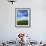 Fields of Wheat and Canola, Palouse, Whitman County, Washington, USA-Charles Gurche-Framed Photographic Print displayed on a wall