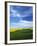 Fields of Wheat and Canola, Palouse, Whitman County, Washington, USA-Charles Gurche-Framed Photographic Print