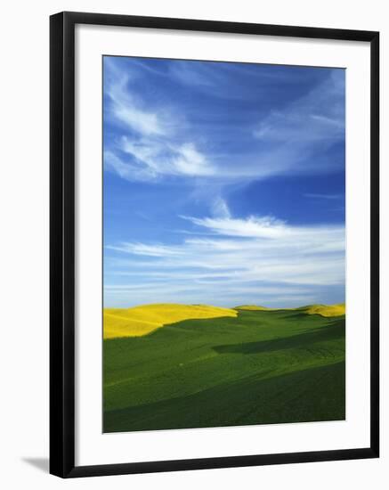 Fields of Wheat and Canola, Palouse, Whitman County, Washington, USA-Charles Gurche-Framed Photographic Print