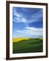 Fields of Wheat and Canola, Palouse, Whitman County, Washington, USA-Charles Gurche-Framed Photographic Print