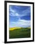 Fields of Wheat and Canola, Palouse, Whitman County, Washington, USA-Charles Gurche-Framed Photographic Print