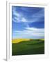 Fields of Wheat and Canola, Palouse, Whitman County, Washington, USA-Charles Gurche-Framed Photographic Print