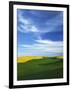Fields of Wheat and Canola, Palouse, Whitman County, Washington, USA-Charles Gurche-Framed Photographic Print