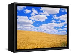 Fields of Wheat-Darrell Gulin-Framed Stretched Canvas