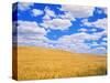 Fields of Wheat-Darrell Gulin-Stretched Canvas