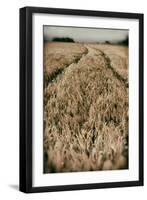 Fields of Wheat-Tim Kahane-Framed Photographic Print