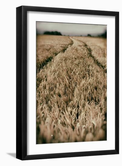 Fields of Wheat-Tim Kahane-Framed Photographic Print