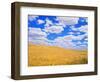 Fields of Wheat-Darrell Gulin-Framed Photographic Print