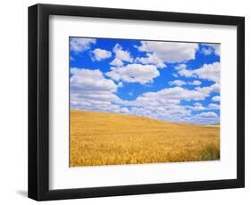 Fields of Wheat-Darrell Gulin-Framed Photographic Print