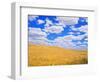 Fields of Wheat-Darrell Gulin-Framed Photographic Print