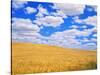 Fields of Wheat-Darrell Gulin-Stretched Canvas